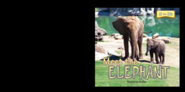 Meet the Elephant
