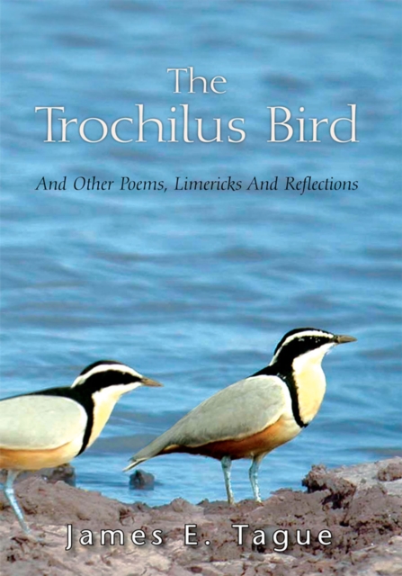 Trochilus Bird
