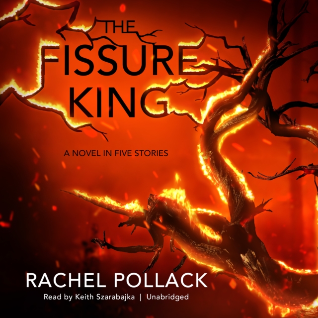 Fissure King