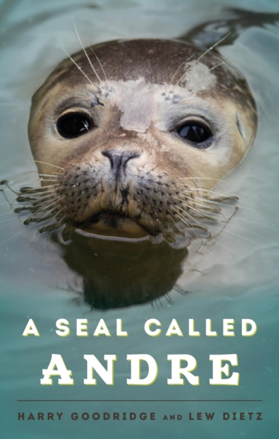 Seal Called Andre