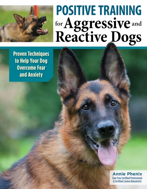 Positive Training for Aggressive and Reactive Dogs