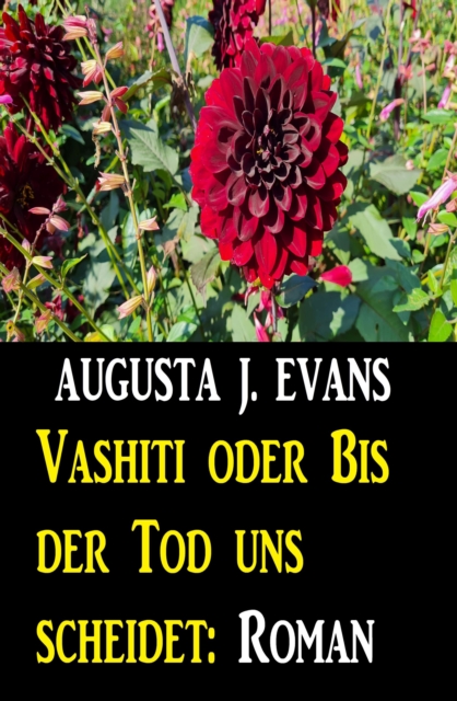 Vashiti oder Bis der Tod uns scheidet: Roman