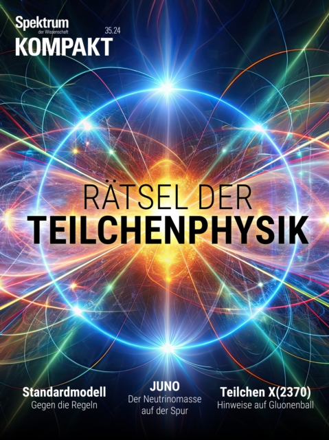 Spektrum Kompakt - Rätsel der Teilchenphysik