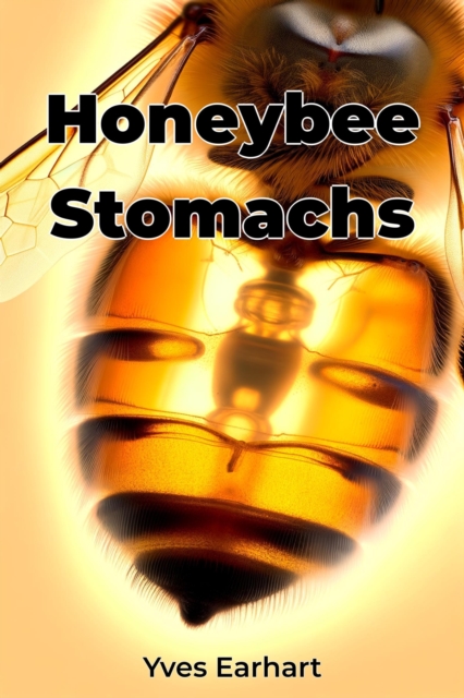Honeybee Stomachs