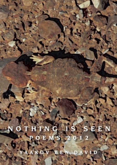Nothing Is Seen