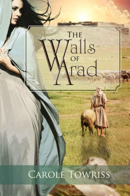Walls of Arad