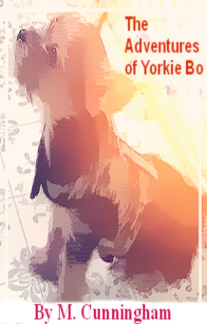 Adventures of Yorkie Bo.