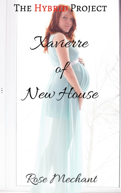 Hybrid Project: Xavierre of New House