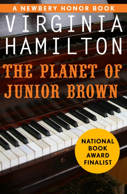 Planet of Junior Brown