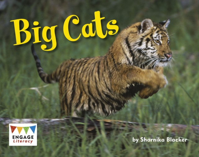 Big Cats