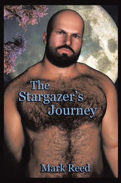 Stargazer'S Journey