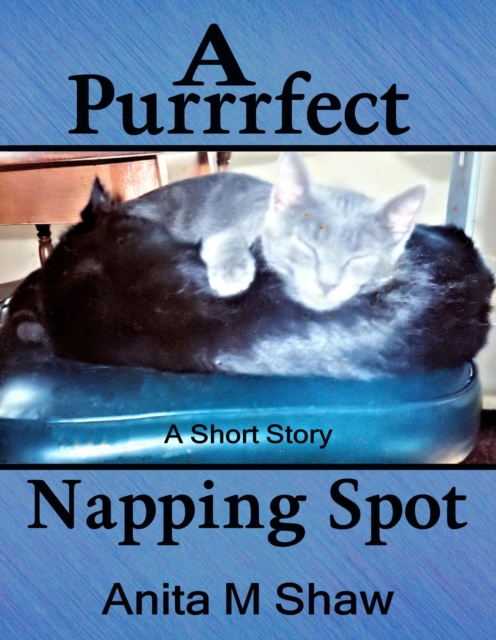 Purrrfect Napping Spot