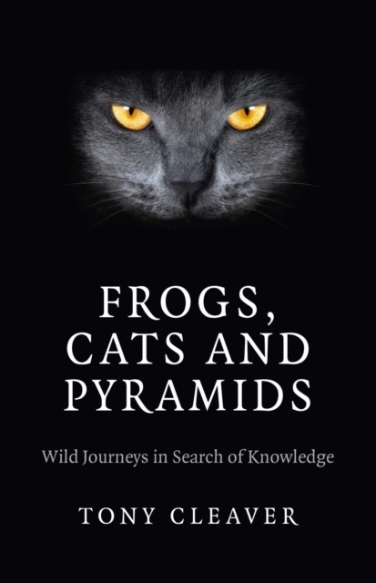 Frogs, Cats and Pyramids