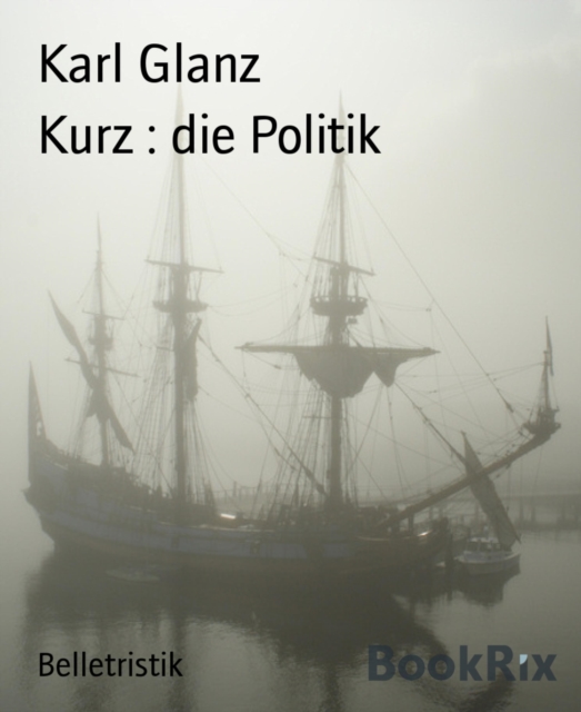 Kurz : die Politik