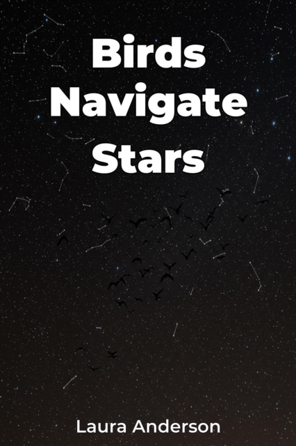 Birds Navigate Stars