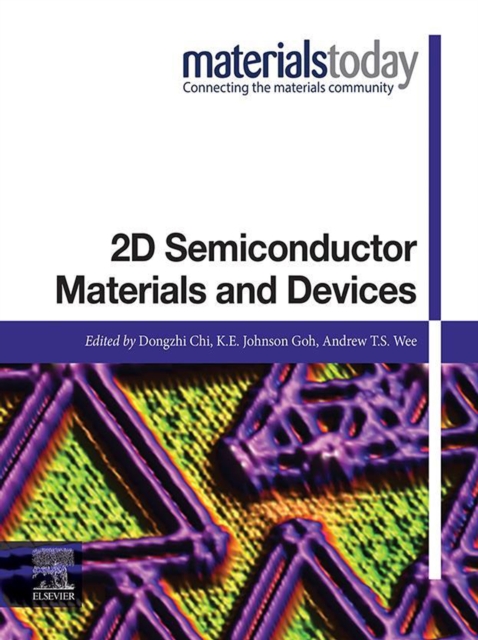 High-Performance Elastomeric Materials Reinforced by Nano-Carbons