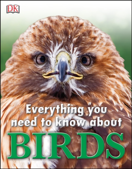Everything You Need to Know About Birds