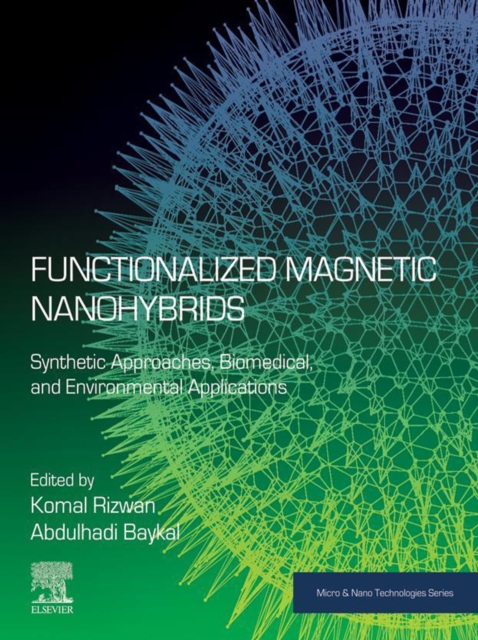 Functionalized Magnetic Nanohybrids