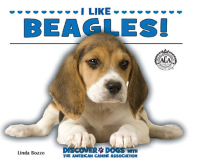 I Like Beagles!
