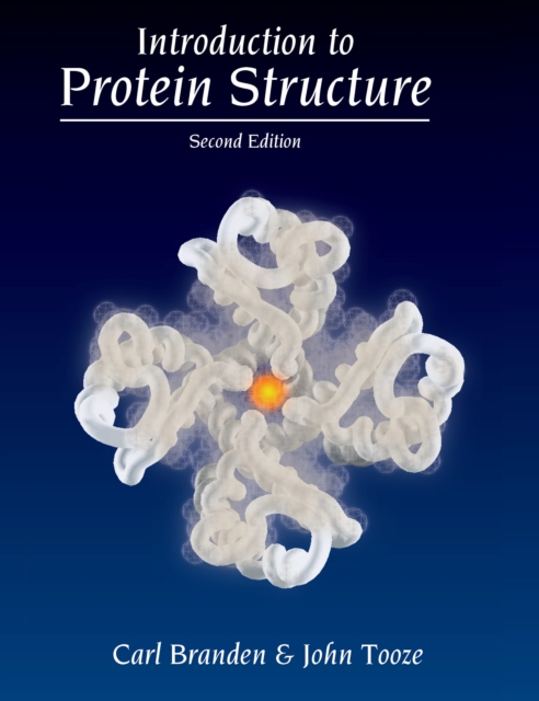 Introduction to Protein Structure