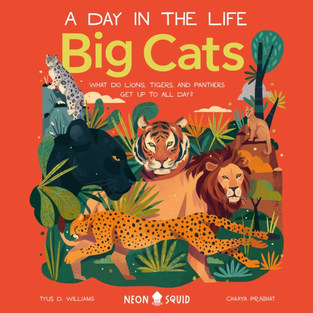 Big Cats (A Day in the Life)