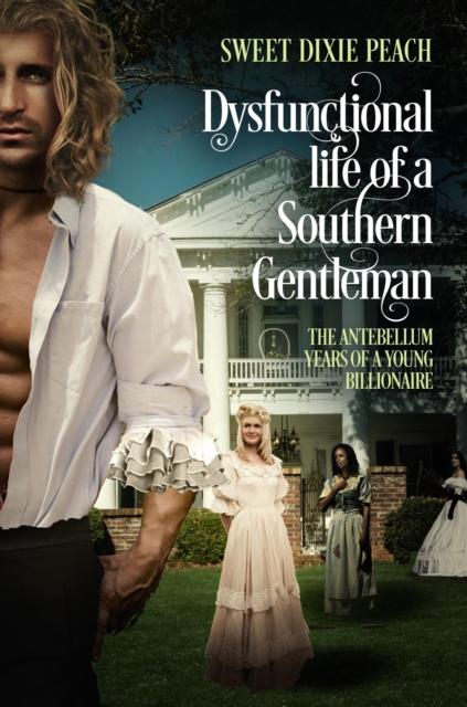 Dysfunctional Life of a Southern Gentleman Vol 1. The Antebellum years of a Young Billionaire