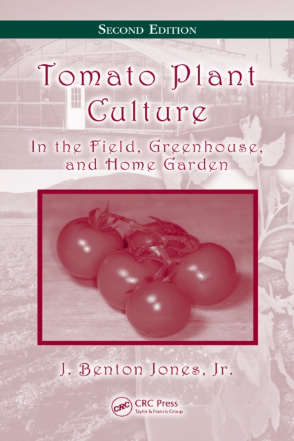 Tomato Plant Culture