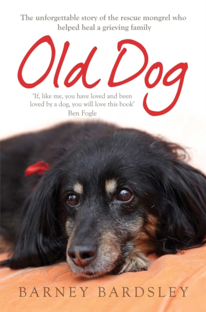 Old Dog