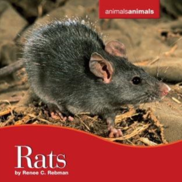 Rats