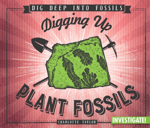Digging Up Plant Fossils