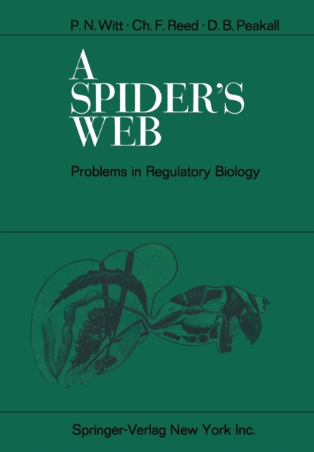 Spider's Web