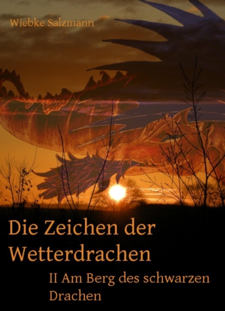 Die Zeichen der Wetterdrachen