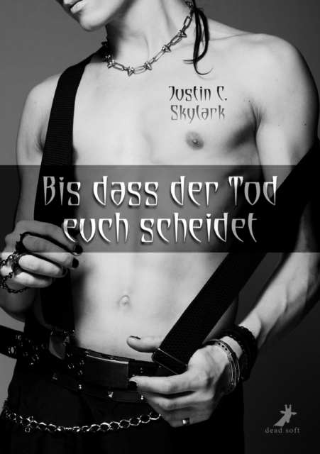 Der Cowboy & der Schreibtischhengst