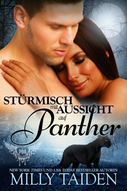 Sturmisch Mit Aussicht Auf Panther