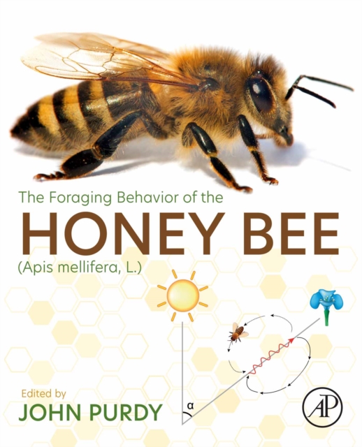Foraging Behavior of the Honey Bee (Apis mellifera, L.)