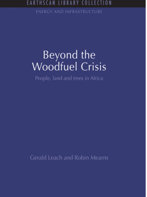 Beyond the Woodfuel Crisis