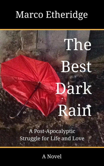 Best Dark Rain: A Post-Apocalyptic Struggle for Life and Love