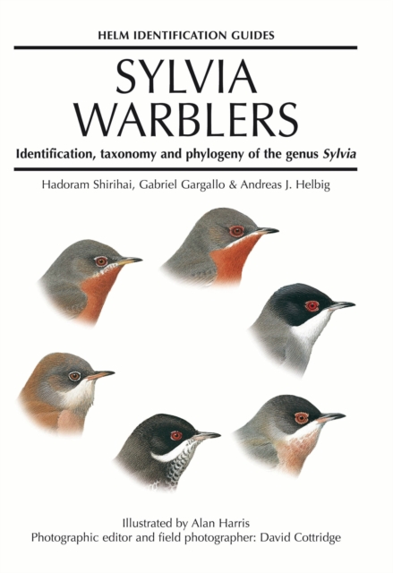 Sylvia Warblers