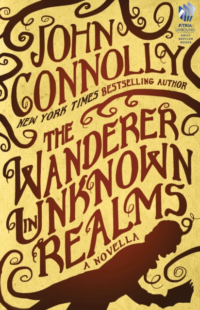Wanderer in Unknown Realms