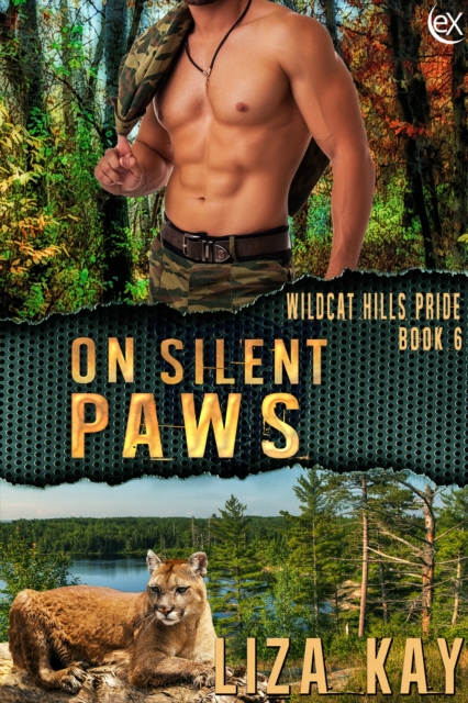 On Silent Paws