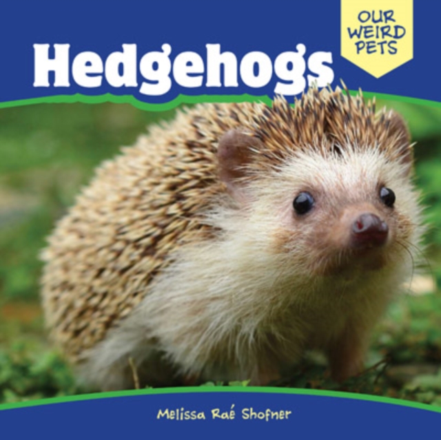 Hedgehogs