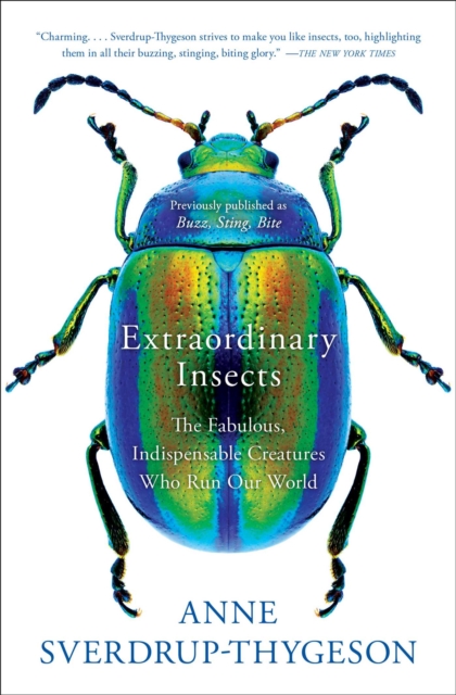 Extraordinary Insects