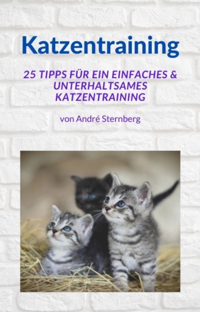 Katzentraining