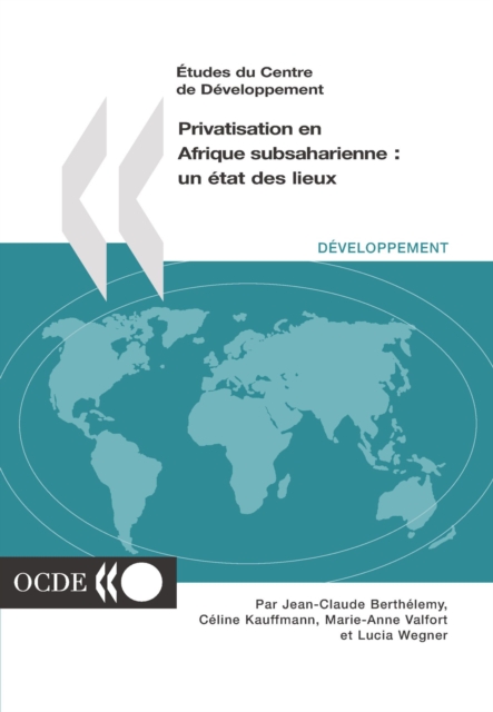 Etudes du Centre de developpement Privatisation en Afrique subsaharienne un etat des lieux
