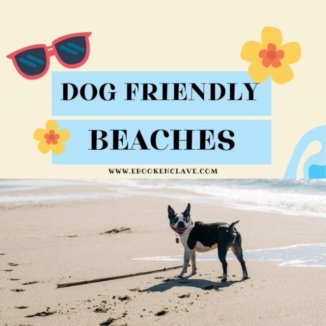 Dog-friendly beaches
