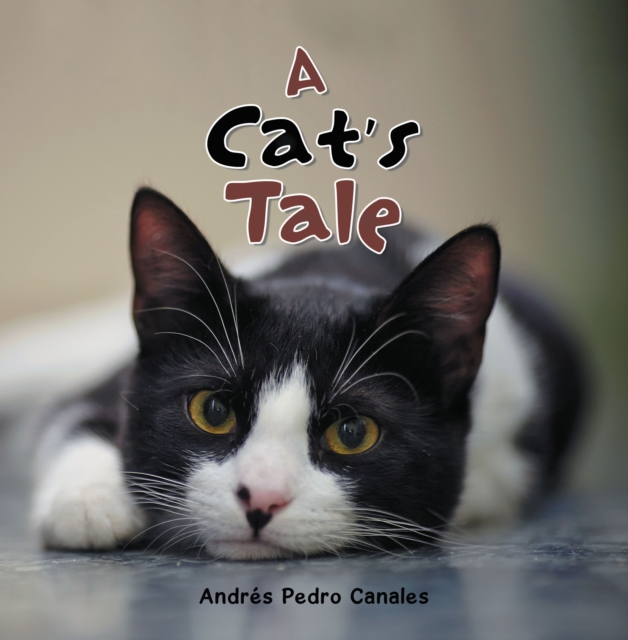 Cat's Tale