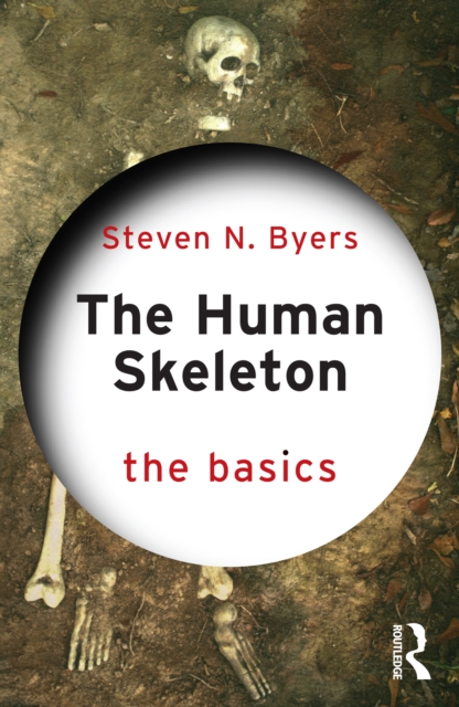 Human Skeleton: The Basics