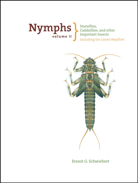 Nymphs, Stoneflies, Caddisflies, and Other Important Insects