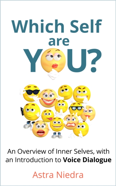 Which Self Are You? A Practical Guide to Exploring Your Inner Selves with Voice Dialogue