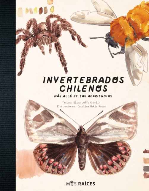 Invertebrados chilenos
